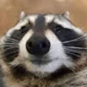 Meet your Posher, Aryana